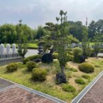 夏の準備2025年～植栽の剪定～